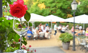 Impression 4 aus dem Restaurant Am Römerbrunnen
